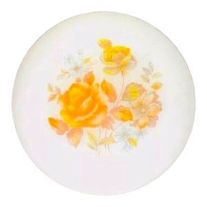 Domed Ceiling Shade Hand Painted 1930s Frosted Glass Dome Vintage Light Flowers